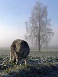 DSC00681