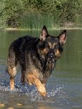 DSC00452 Yuma.