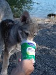 DSC01191 Am Baggersee gibt es zunächst erstmal eine Stärkung in Form von Buttermilch - hmmm...lecker!