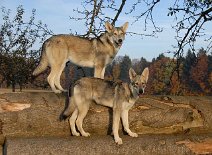 DSC_8696 Mutter und Tochter