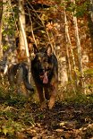 DSC_9628 Yuma