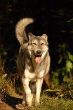 DSC_9633 Nisha