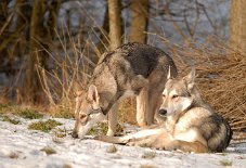 DSC_5080 Mutter und Tochter