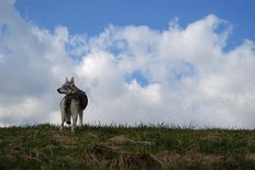 DSC_9766 ....und nach links gucken....