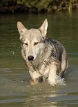 DSC_5922 ...irgendwie dachte ich ja nicht, daß Wasser SO naß ist....
