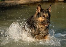 DSC_6404 Wassertreten