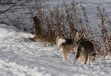 DSC_4099 Mutter und Tochter