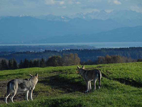 05-11-2009 Spaziergang