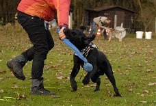 DSC_4746 Eine Aufgabe ist, selbst mit seinem Hund zu spielen...