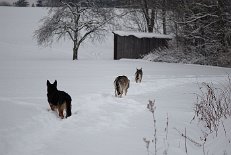 DSC_0088