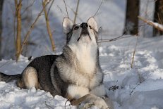 DSC_0715 Was ist denn da oben?