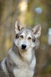 DSC_2741 Nisha