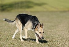 DSC_3745 Amy