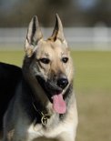 DSC_3747 Amy