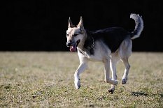DSC_3760 Amy