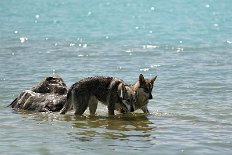 DSC_7398 Timish und Shaya stehen auf einer kleinen Insel im See.