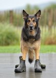 DSC_7775_Regen Yuma findet das mit den Gummistiefeln eine super Idee!