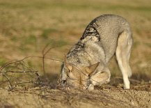 DSC_4738 Was ist denn da drin?