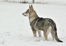 DSC_1550