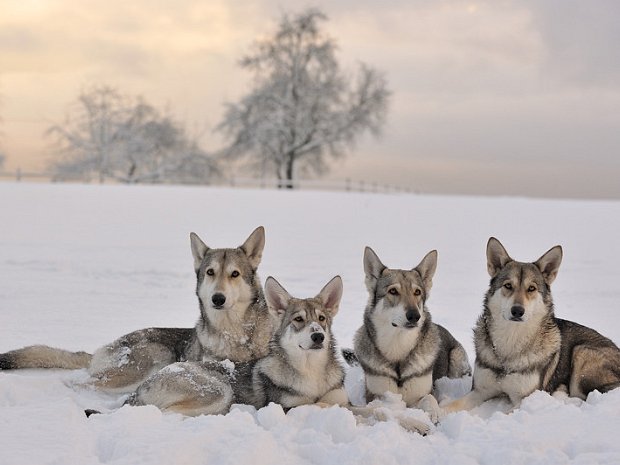 05-12-2012 Schnee