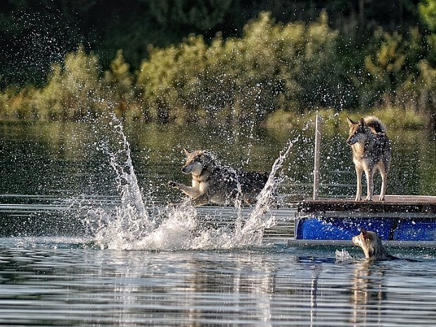 27-07-2013 Baggersee mit Schwimmflügel
