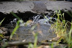 DSC_1716 Ups!! Wer ist denn da in's Wasser geplumpst?