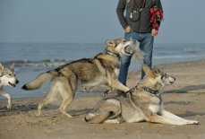 DSC_0530 Enya ist - wie immer - der Sieger!
