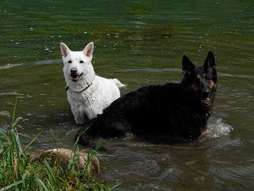 28-07-2007 Besuch bei Auri in der Schweiz