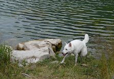 _DSC0085 Auri