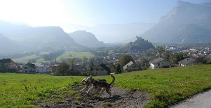 DSC_7868 Blick auf Balzers, die Heimat von Aiko. In dem Haus ganz rechts vorne im Bild ist Aiko zu Hause. Im Vordergrund rennen Timish und Aiko um die Wette.