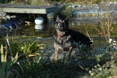 DSC_0957 Yuma
