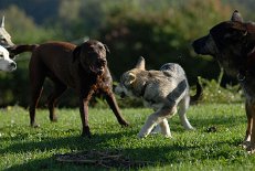 DSC_0977 Ronny, Shaya und Yuma