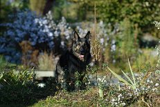DSC_1011 Yuma