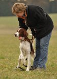 DSC_4159 Irish Red an White Setter Hündin Fly mit ihrem Frauchen Jutta.