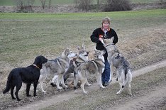 DSC_0522 Bei Jutta gibt's auch immer feine Leckerlies - Timish schnappt sich gerade eines!