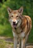 DSC_5299 Uncas