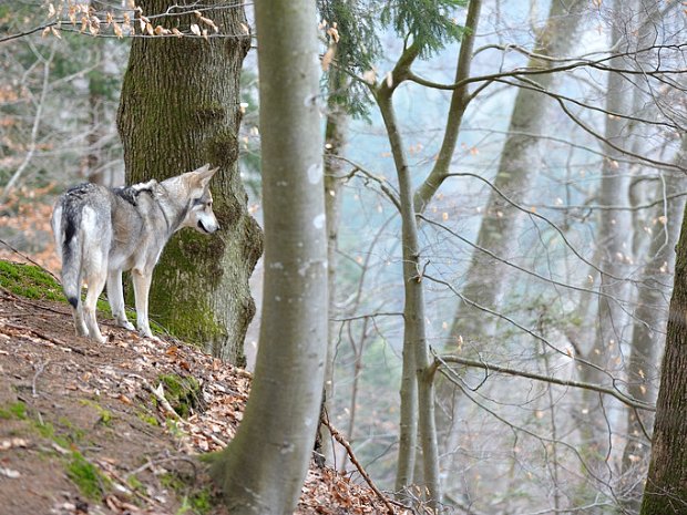 06-04-2013 Besuch von Amak und Bora (Teil 1)