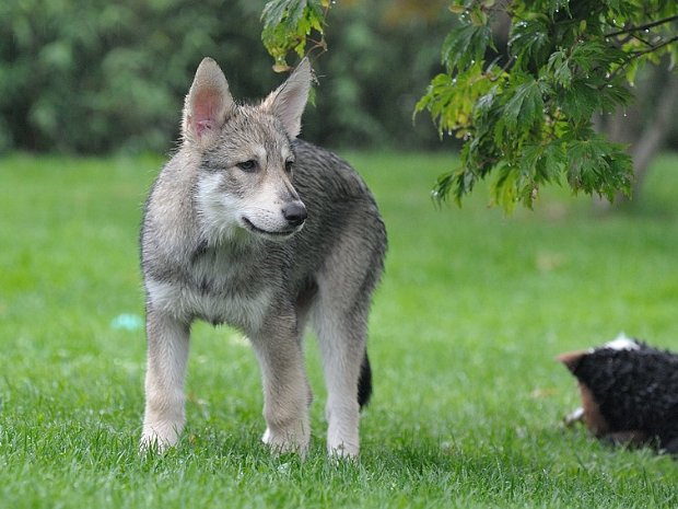 21-07-2014 Besuch von Enisha