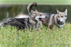 DSC_6077 Yuma und Enya