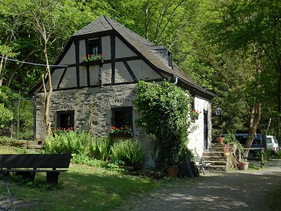 12-05-2008 Welpentreffen vom A-Wurf in der Kolliger Mühle (Teil 4) Teil 4: In diesem Photoalbum möchte ich gerne die Kolliger Mühle vorstellen, wo wir unser Welpentreffen des A-Wurfes...