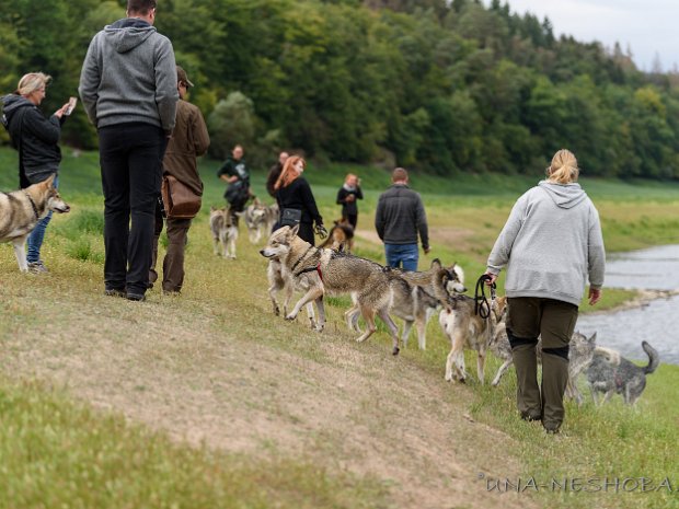 07.09.2019 Jahrestreffen vom SWH-Club 2019 am Edersee