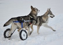 DSC_6574 Februar 2013