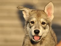 DSC_5314_Tag_52 52. Lebenstag