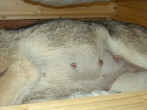 DSC02611