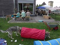 DSC07038 Heute ist jede Menge los, viele Menschen und Hunde sind da, der Garten gleicht einem Schlachtfeld, aber die Welpen finden es klasse.
