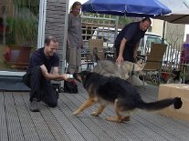 DSC07059 Yuma will wie immer beschäftigt sein - diesmal opfert sich Didi.