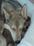 DSC04928 Mädchen weiß wird von Mama erdrückt.