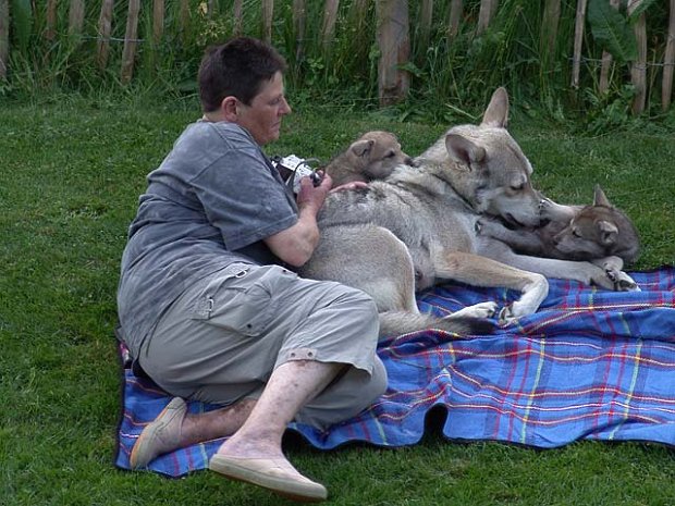 27-05-2007 Besuch von allen Welpenkäufern