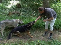 DSC05500 Yuma will auch beschäftigt werden....