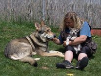 DSC05684_Tag38 5 Wochen alt: Zusammen mit Frauchen Grit und Baldur